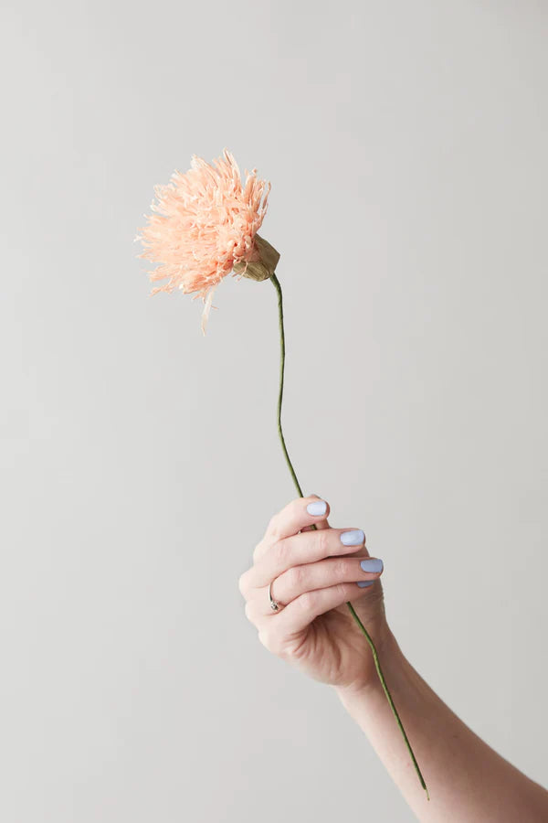 Studio About Papierblume aus Krepp, Chrysanthemum, nude, handgemacht