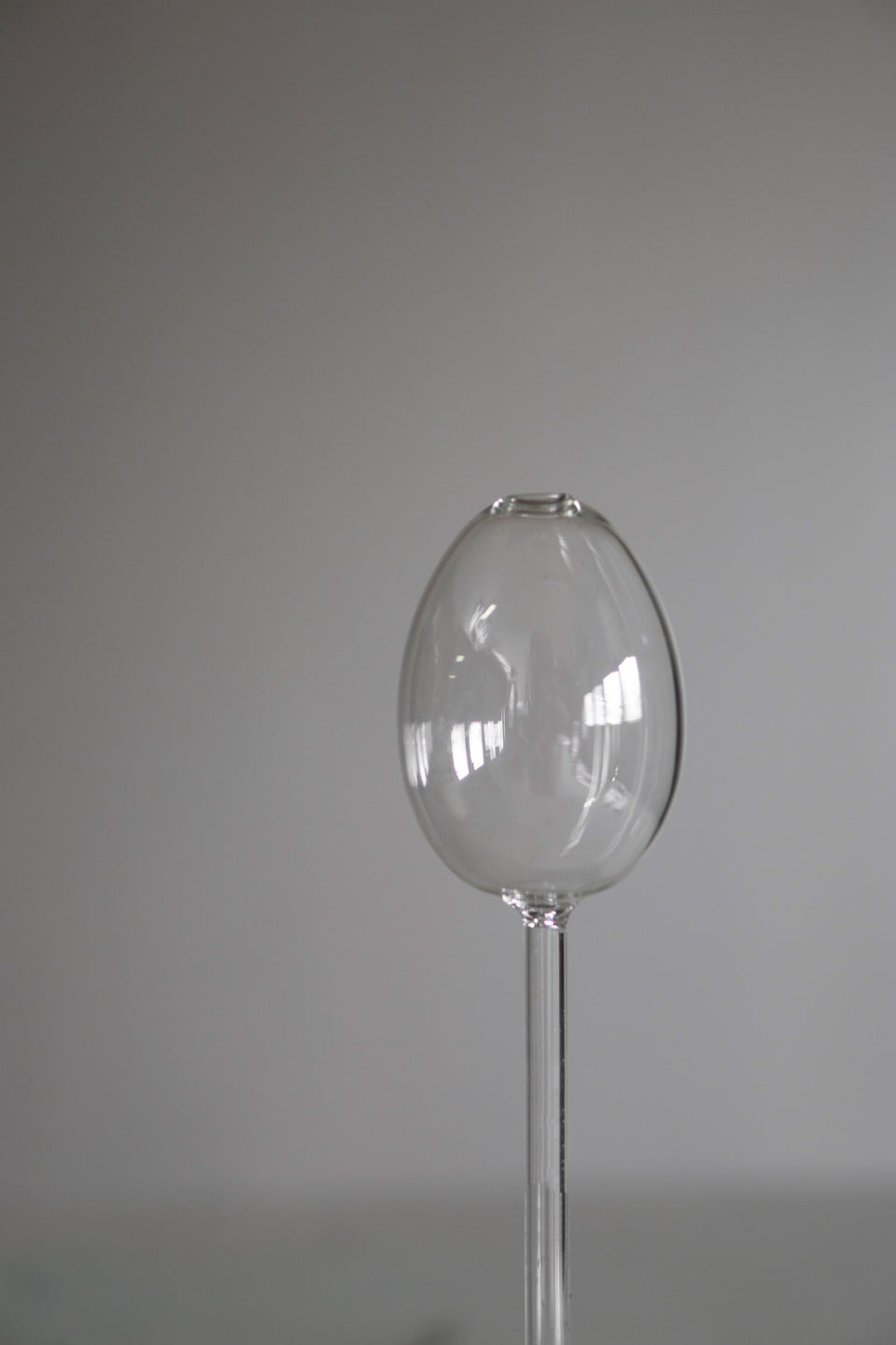 dbkd Bewässerungskugel, Glas, Klar, Ø6,5 x H25 cm